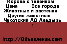 Корова с теленком › Цена ­ 69 - Все города Животные и растения » Другие животные   . Чукотский АО,Анадырь г.